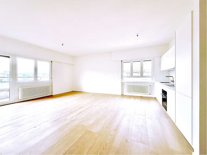 Appartement centrale et rénové au dernier étage (2)