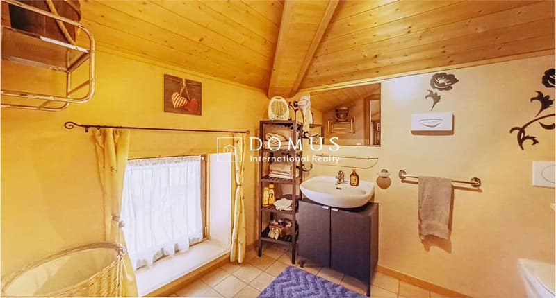 House with 3 apartments, garage, garden (13)