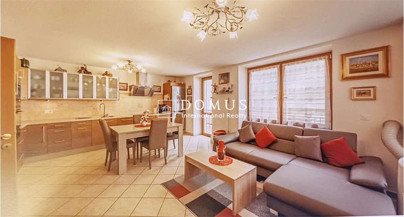House with 3 apartments, garage, garden (3)