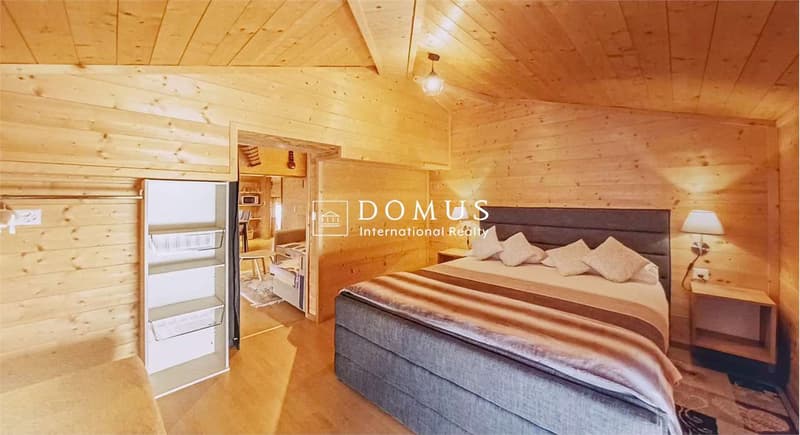 House with 3 apartments, garage, garden (12)