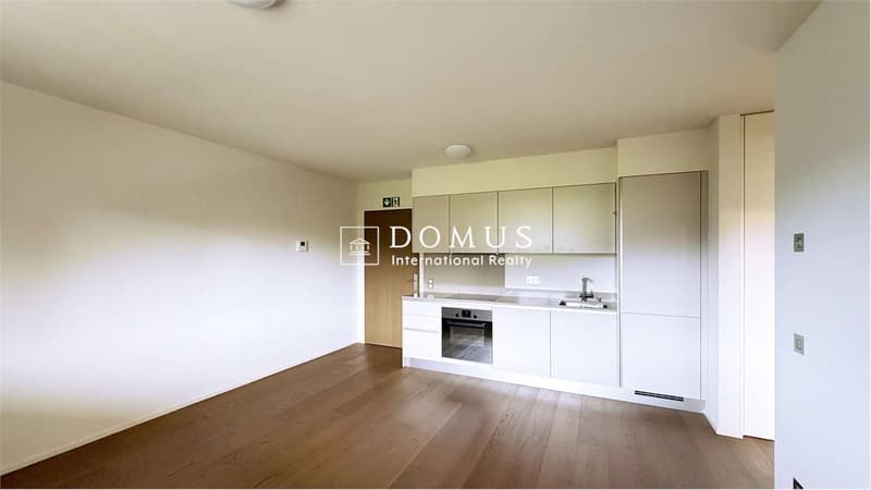 New 2.5 rooms in Montagnola (2)