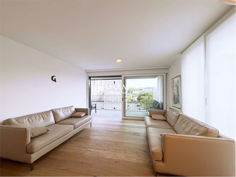 Modern 3.5-room apartment with large terrace (2)