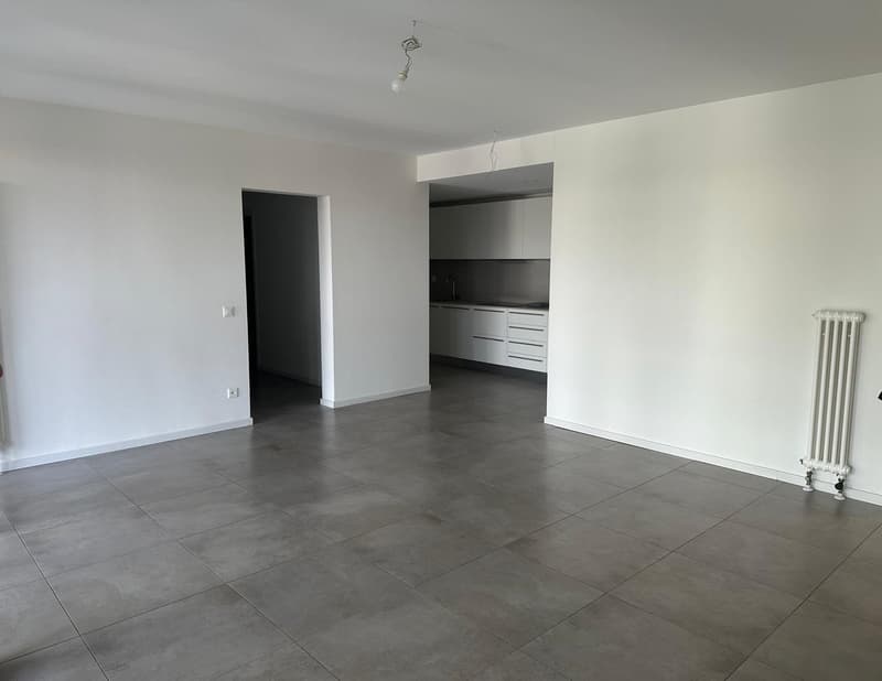 Moderne 2.5-Zimmer-Wohnung mit Terrasse und privatem Garten in Pazzallo (3)