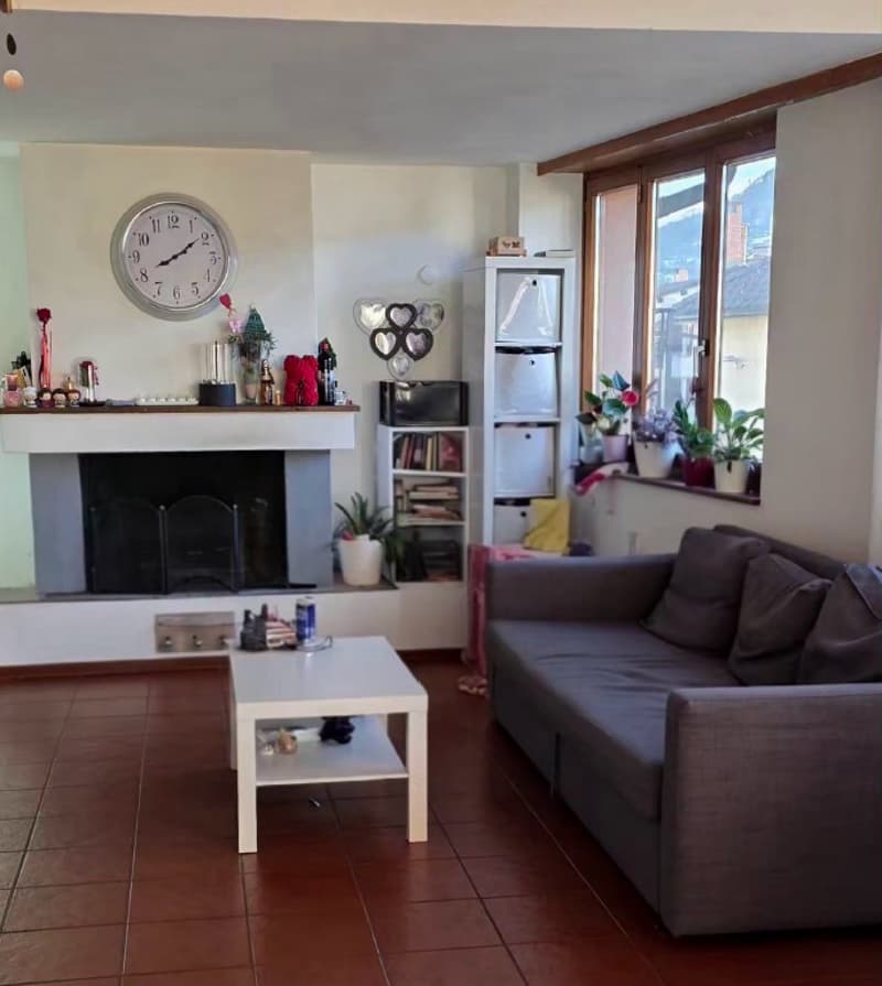 Living room with fireplace, couch, coffee table, clock, shelves, plants
