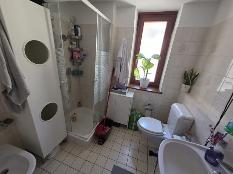 Bathroom with shower, toilet, sink, cabinet, potted plants, cleaning tools, towel, and toiletries
