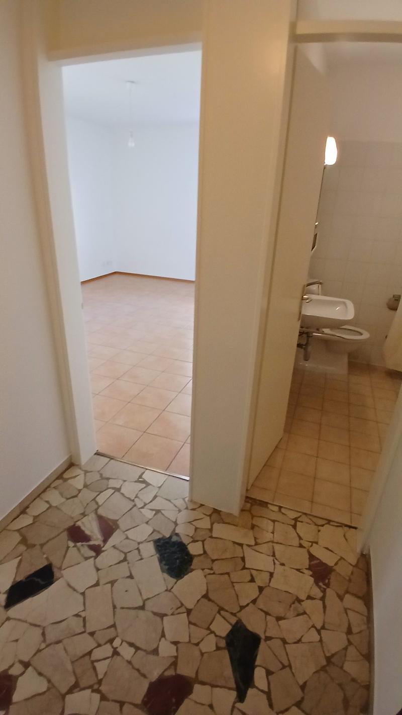 Accogliente appartamento di 1.5 locali a Viganello (1)