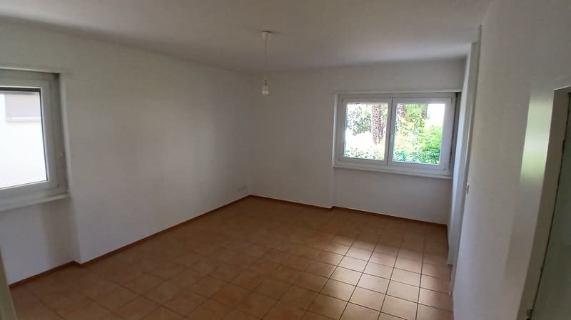 Accogliente appartamento di 1.5 locali a Viganello (2)