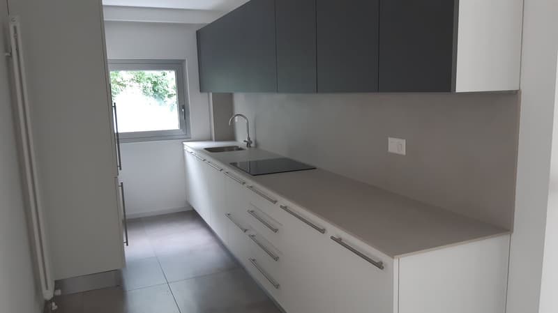 Modern 2.5-room apartment with terrace and private garden in Pazzallo (9)