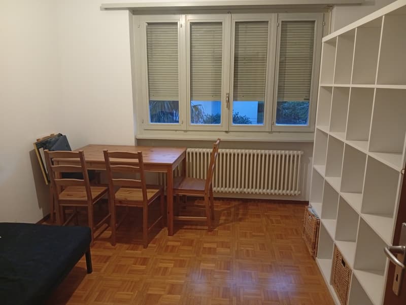 Subentro per monolocale (parzialmente ammobiliato) (2)