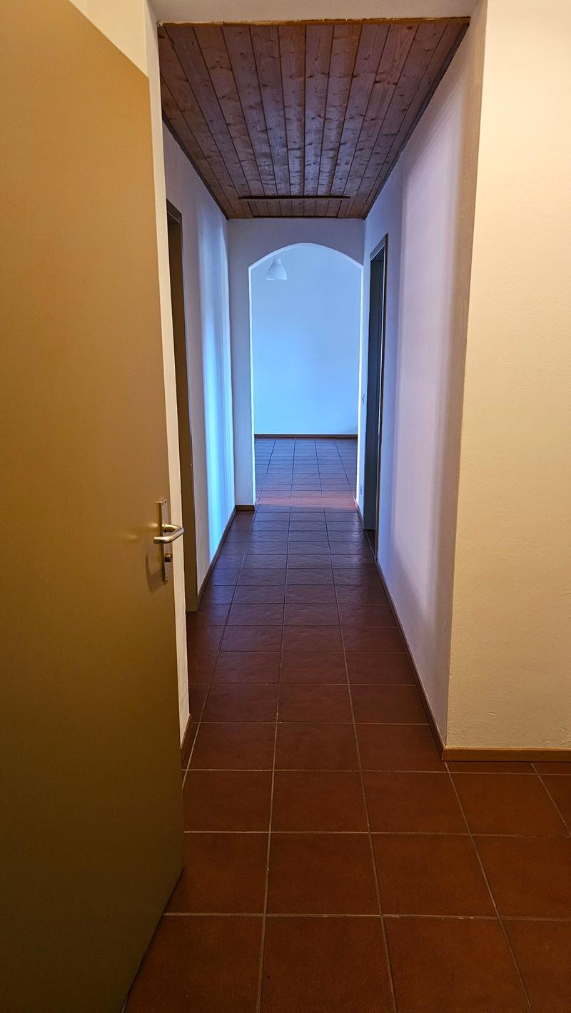 Cerchiamo subentrante per 3.5 locali a Novaggio (2)