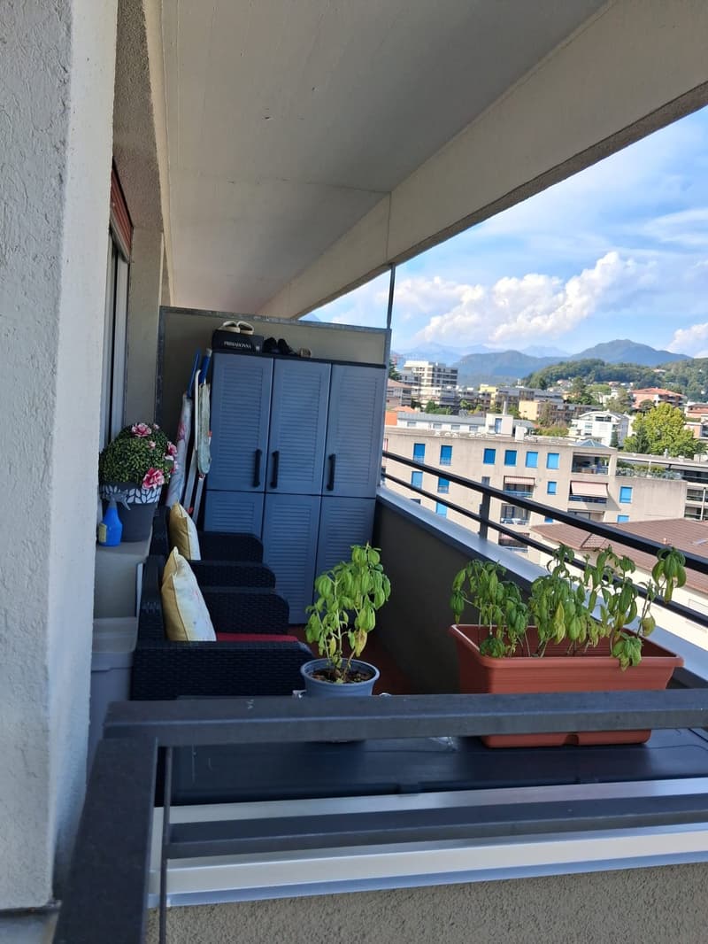 Cercasi subentrante per luminoso appartamento di 2.5 locali a Lugano (3)