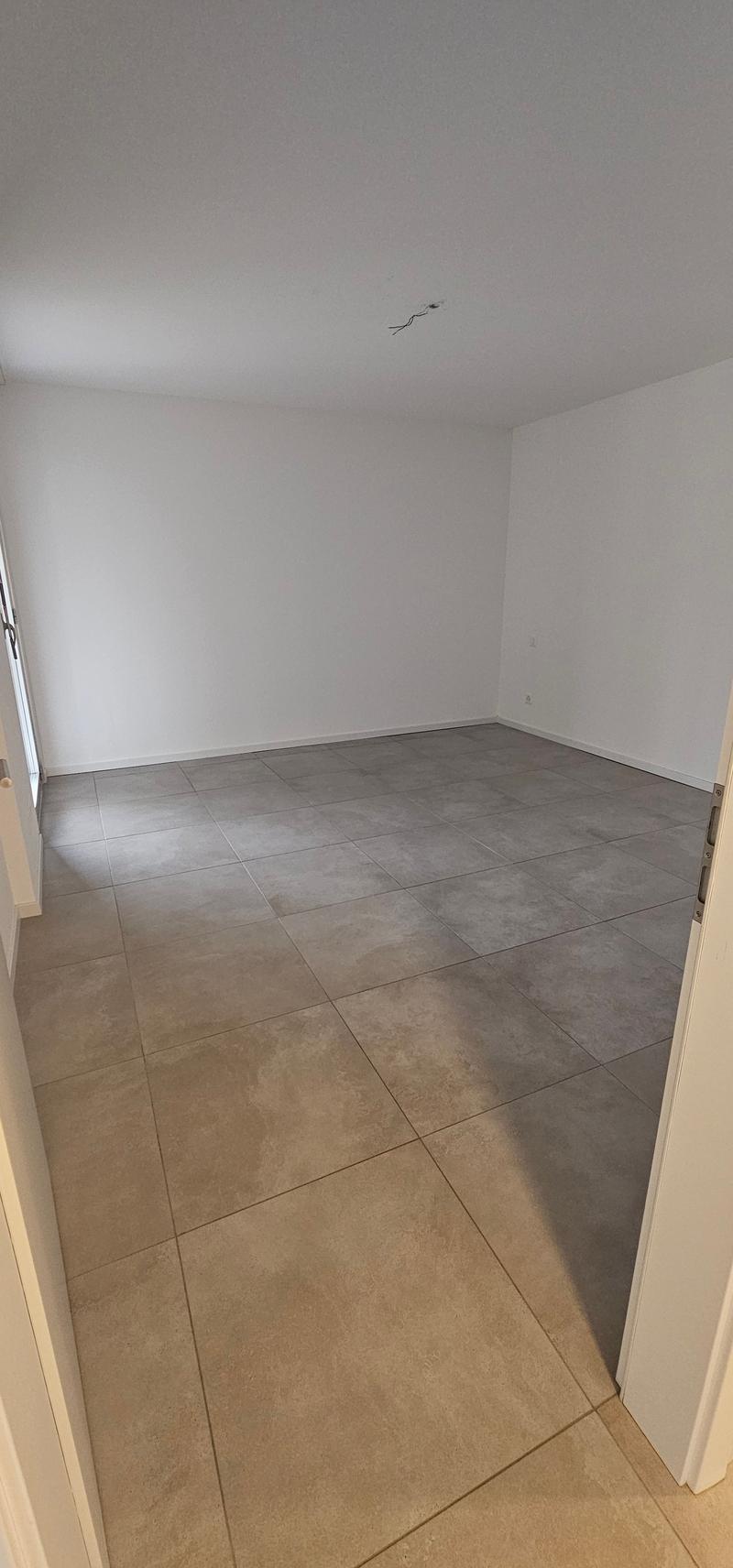 Moderno appartamento 2.5 locali con terrazza e giardino privato a Pazzallo (4)