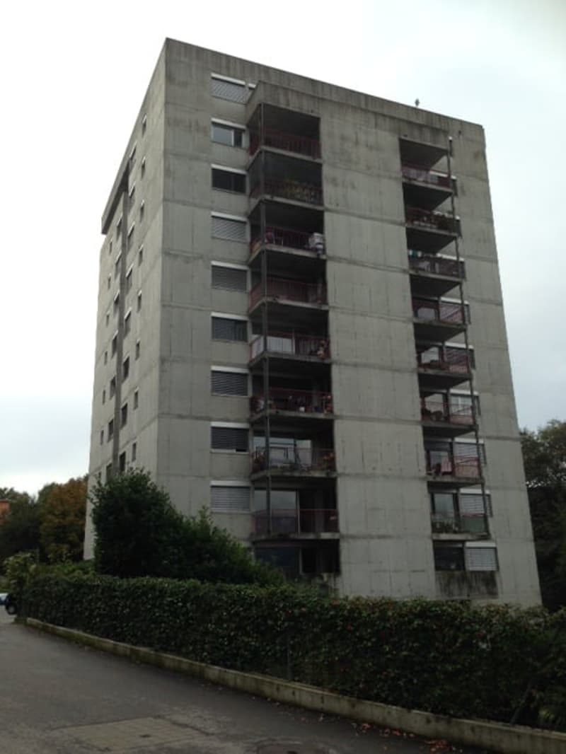 Moderno appartamento 2.5 locali con terrazza e giardino privato a Pazzallo (9)