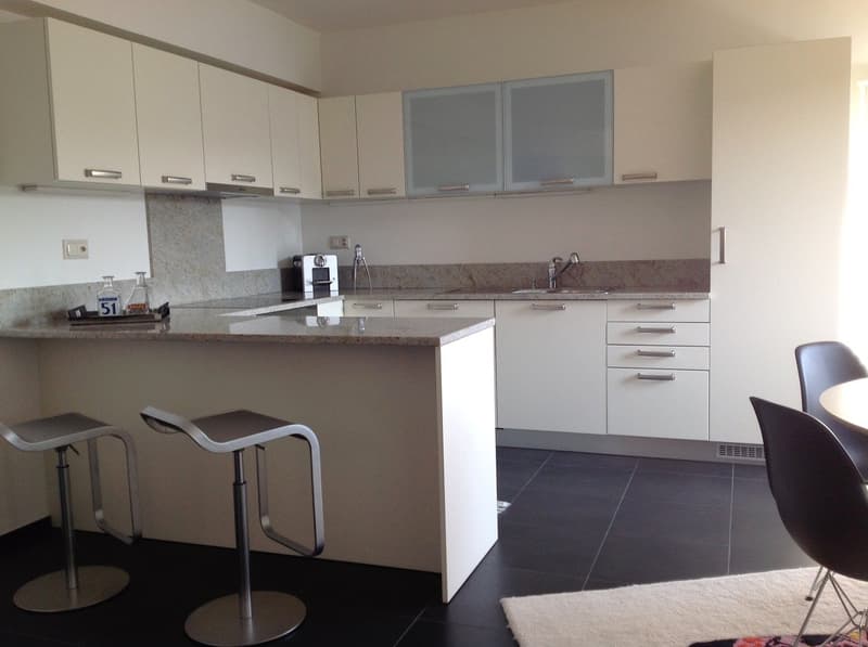 Appartamento 3.5 locali a Lugano Centro con vista lago (7)