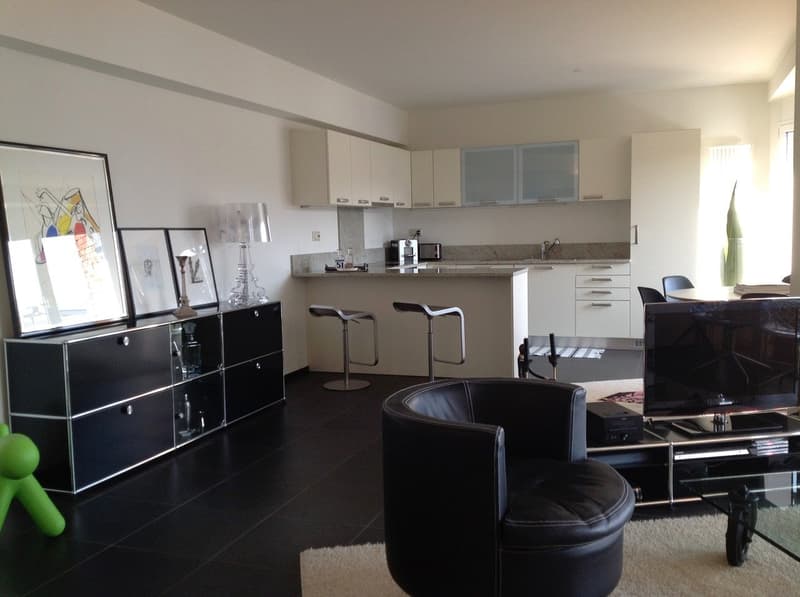 Appartamento 3.5 locali a Lugano Centro con vista lago (3)