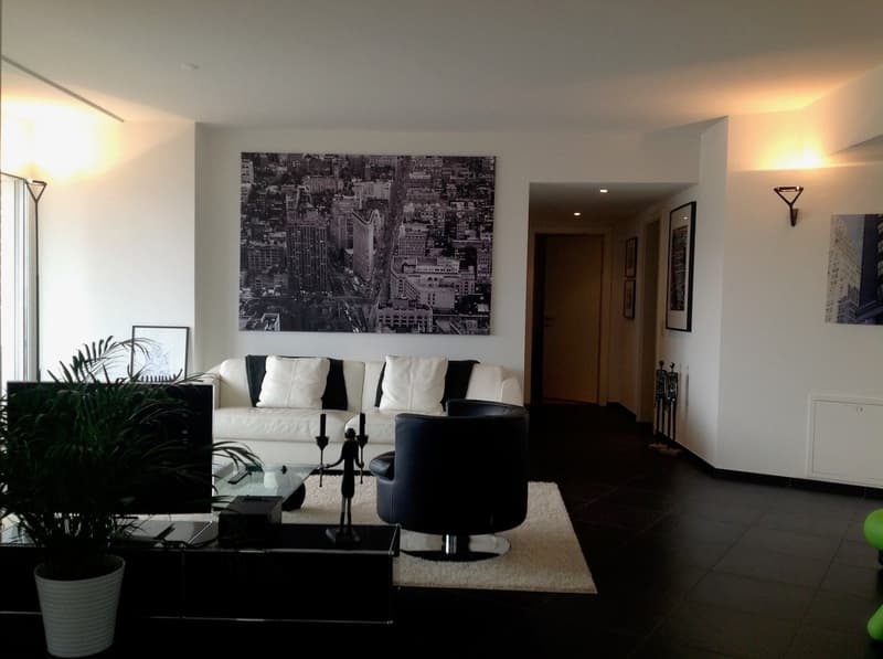 Appartamento 3.5 locali a Lugano Centro con vista lago (2)