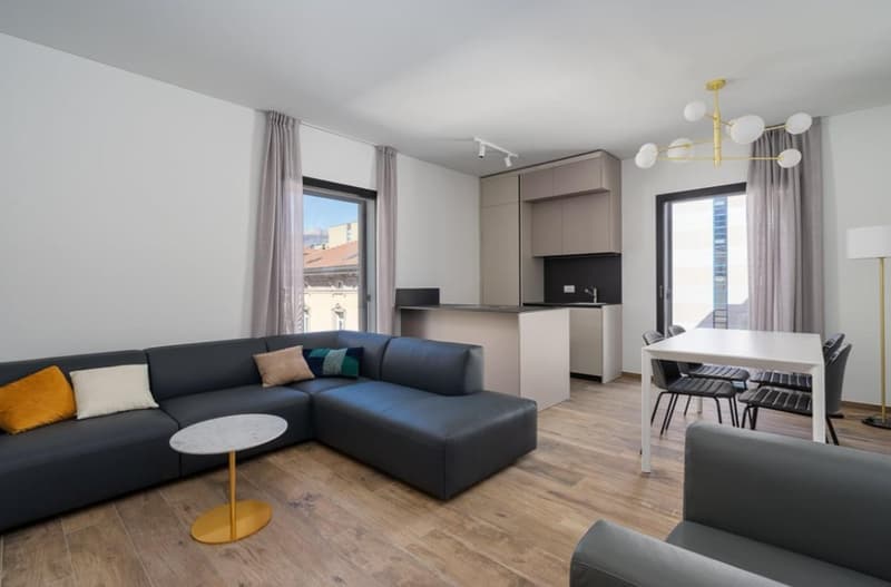 Vivi il nuovo! Elegante Appartamento CLIMATIZZATO nel Cuore di Lugano (2)
