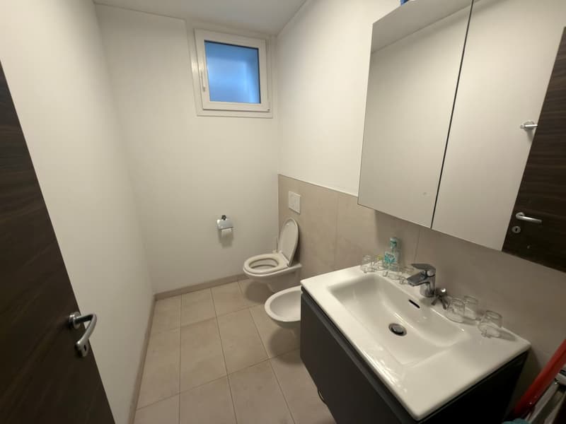 Offices for rent in Canobbio (7)