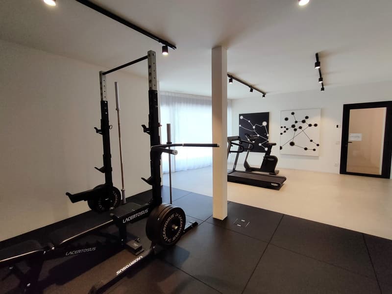 Splendido appartamento duplex 4.5 locali con piscina a Canobbio (14)