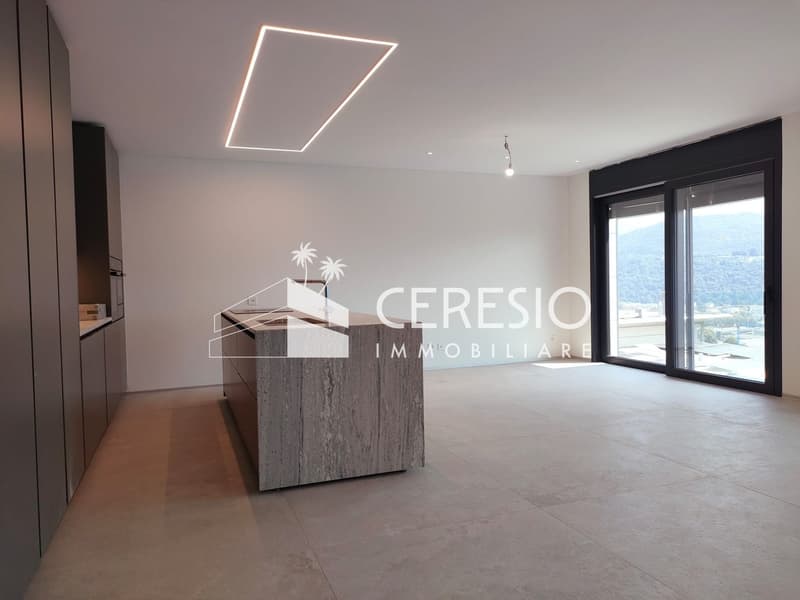 NUOVI APPARTAMENTI 5.5 LOCALI DUPLEX A MANNO (4)