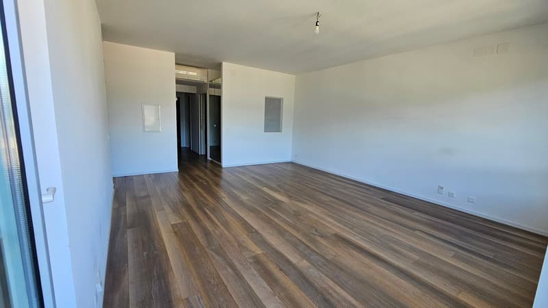 Empty room with wooden floors, white walls, glass door, power outlets, ceiling lamp