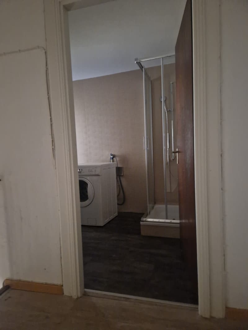 Miete von 3-Raum-Wohnung in Tresa auf drei Etagen, sofort verfügbar (9)