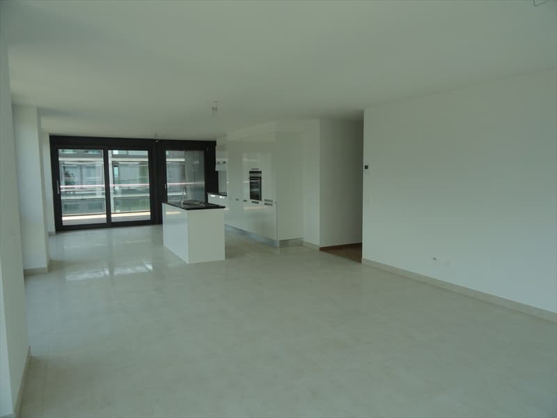 Helles 3.5-Zimmer-Apartment mit Balkon in Bioggio (2)