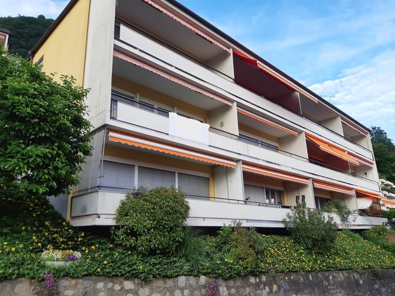 Rent a charming and bright studio apartment recently renovated (1)
