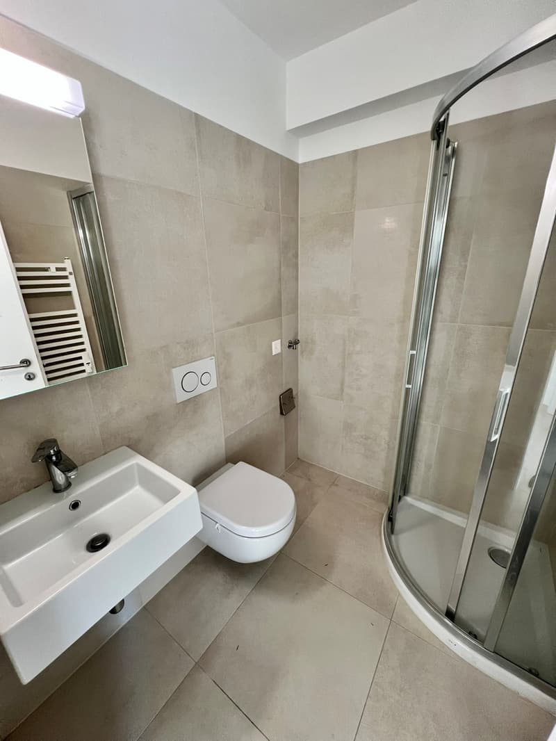 Rent a charming and bright studio apartment recently renovated (9)