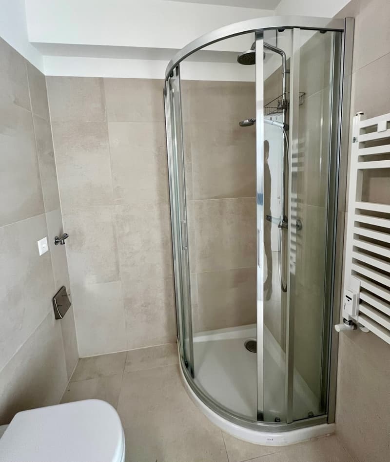 Rent a charming and bright studio apartment recently renovated (10)