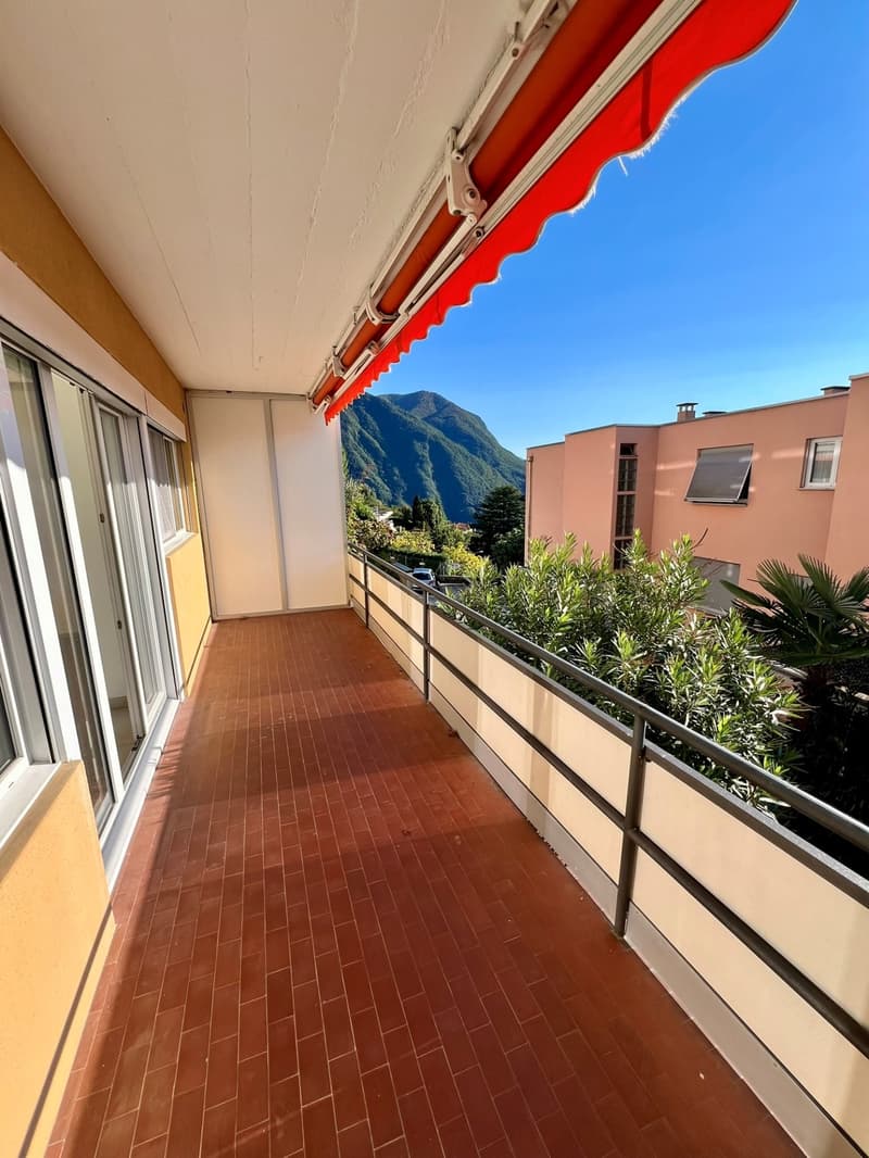 Rent a charming and bright studio apartment recently renovated (11)