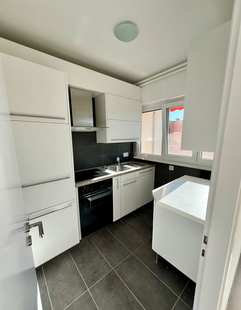 Rent a charming and bright studio apartment recently renovated (8)
