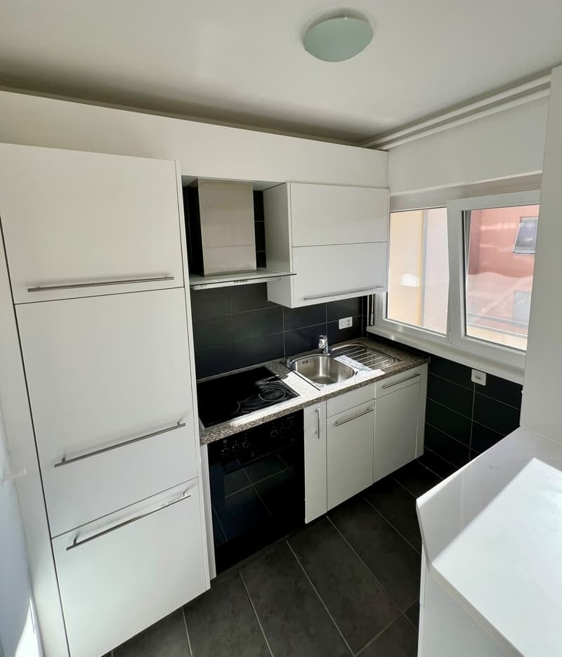Rent a charming and bright studio apartment recently renovated (7)