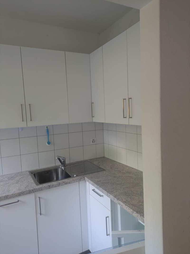 Wohnung 1.5 Zimmer in Lugano Breganzona (4)