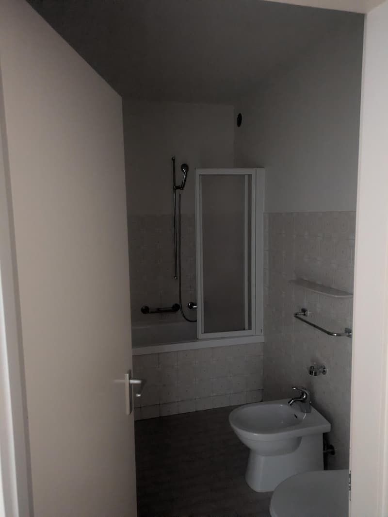 Wohnung 1.5 Zimmer in Lugano Breganzona (6)