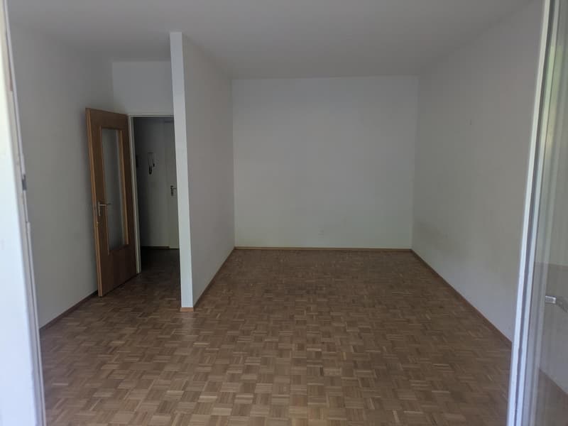 Wohnung 1.5 Zimmer in Lugano Breganzona (3)