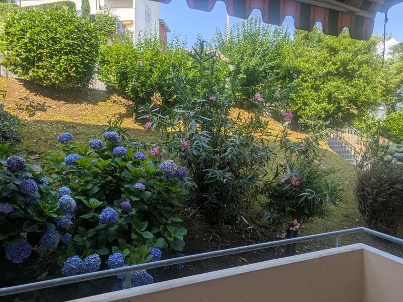Wohnung 1.5 Zimmer in Lugano Breganzona (7)