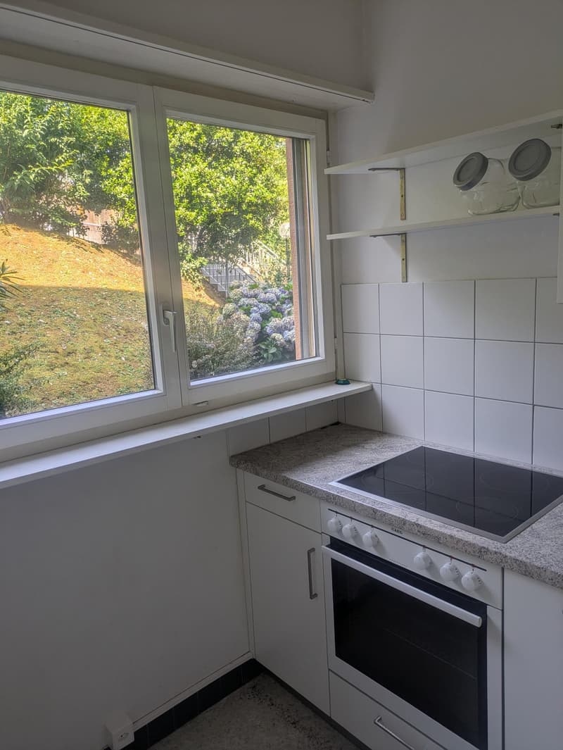 Wohnung 1.5 Zimmer in Lugano Breganzona (5)