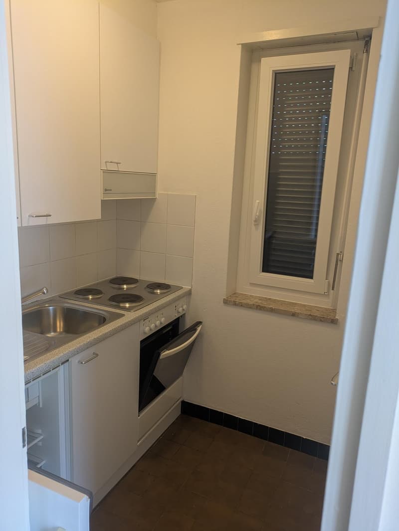 Location appartement 1.5 pièces avec vue sur le lac à Melide (3)