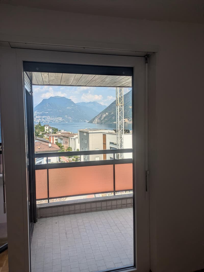 Location appartement 1.5 pièces avec vue sur le lac à Melide (1)