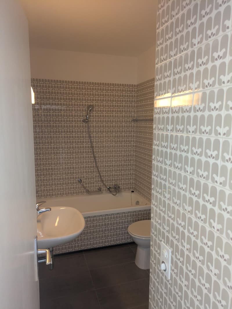 Location appartement 1.5 pièces avec vue sur le lac à Melide (4)