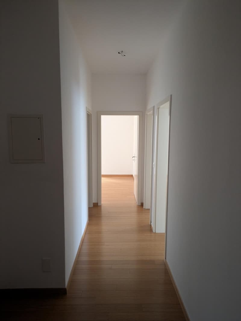 3.5-room apartment for rent in Lugano – Cassarate area (2)