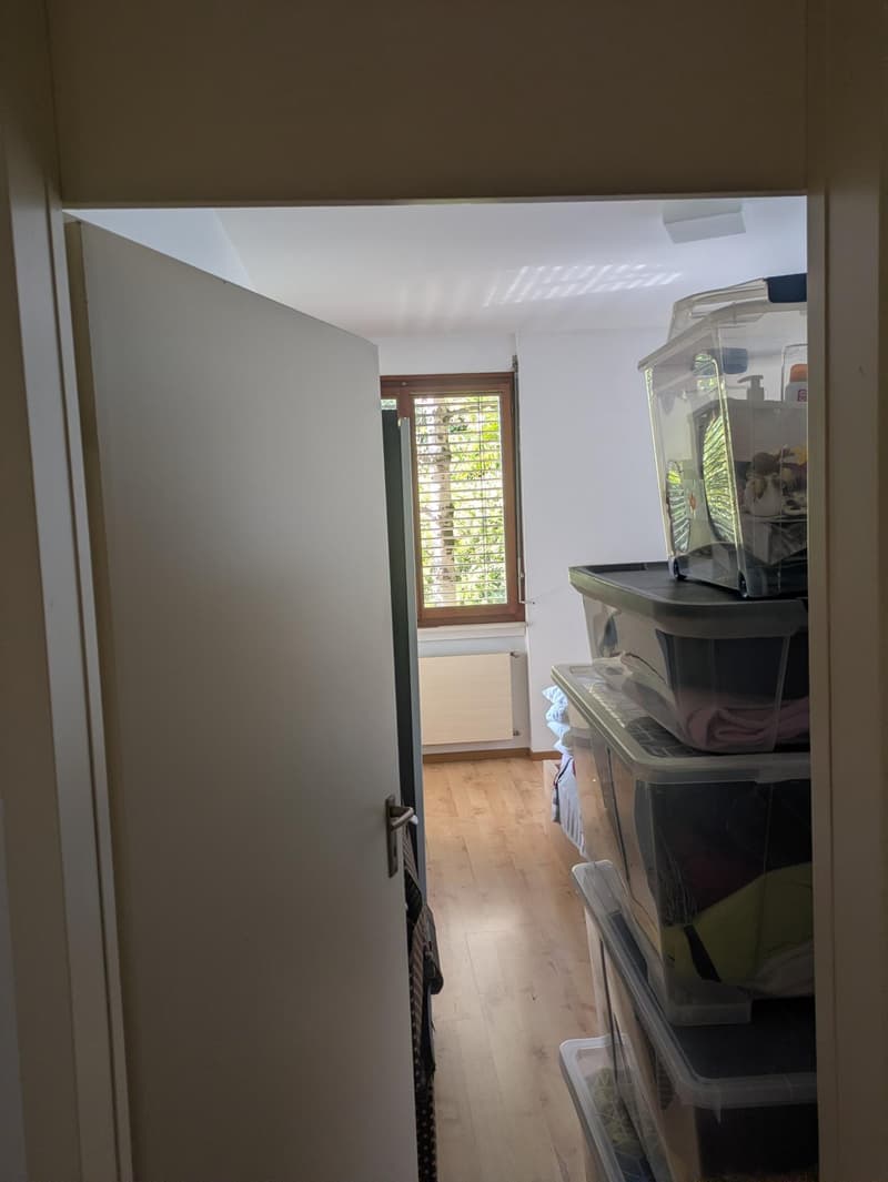 Appartamento in affitto di 2.5 locali con vista lago a Castagnola (5)