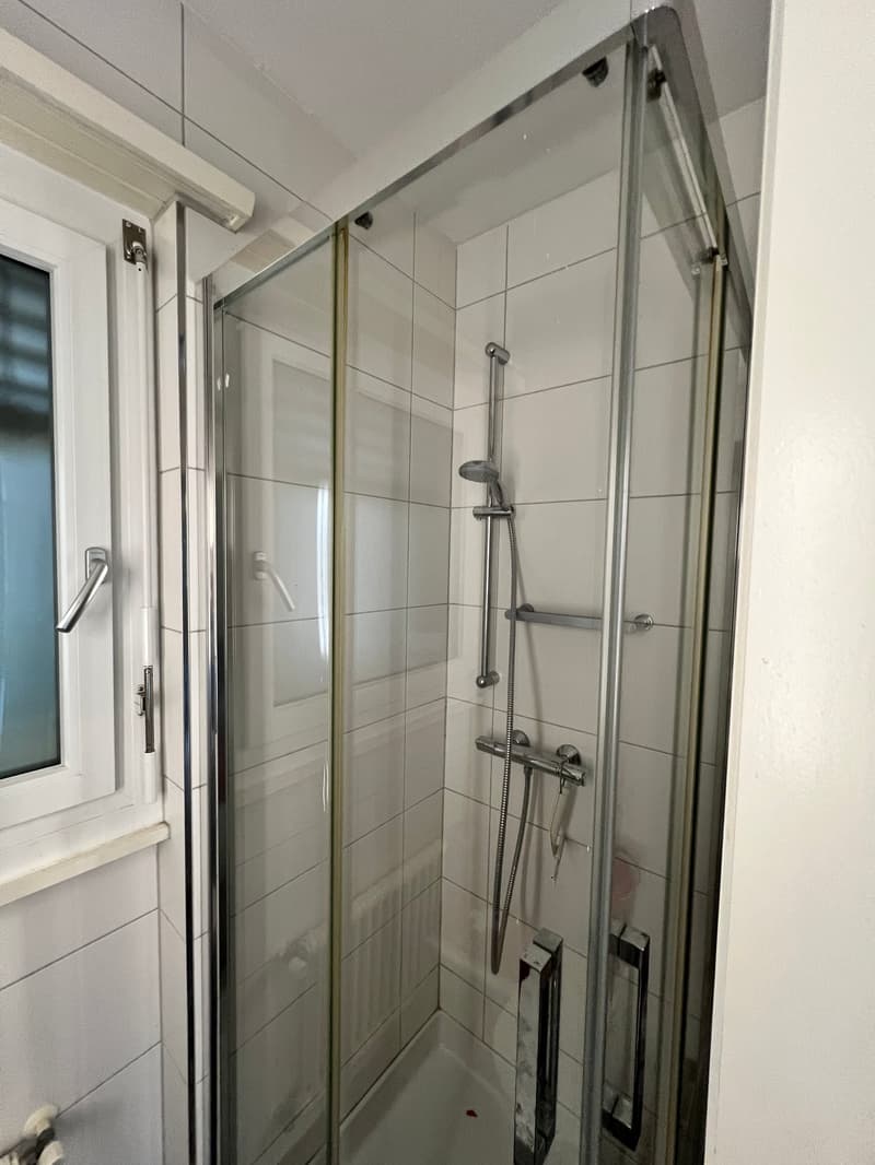 Glass walk-in shower, white tiles, shower head, metal railing, white window, white walls
