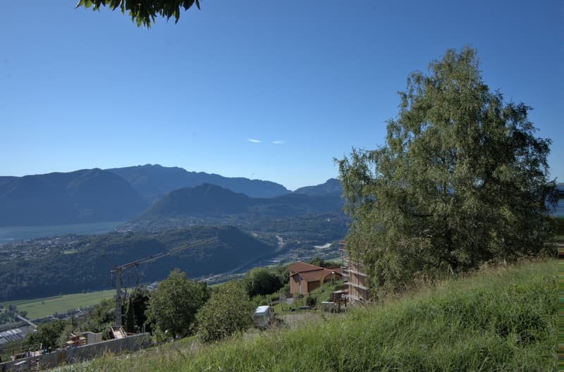 grass, tree, construction site, crane, distant house, valley, mountains