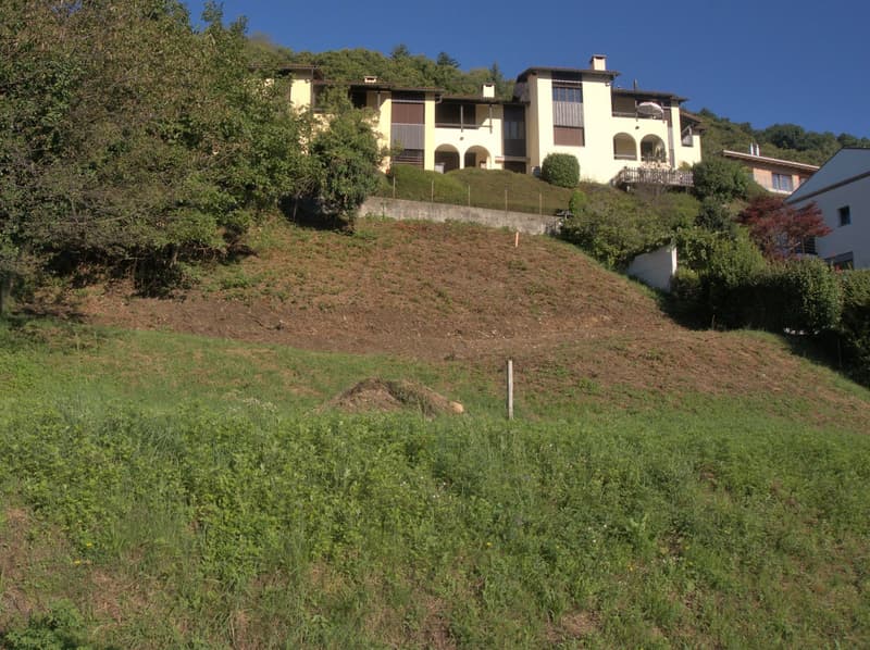 House on a hill, yellow exterior, multiple windows, raised ground floor, surrounded by greenery