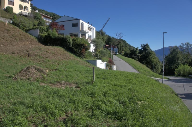 Two houses, one white one gray, on the slope of a hill with green grass. A driveway is on the bottom of the slope with trees and mountain views.
