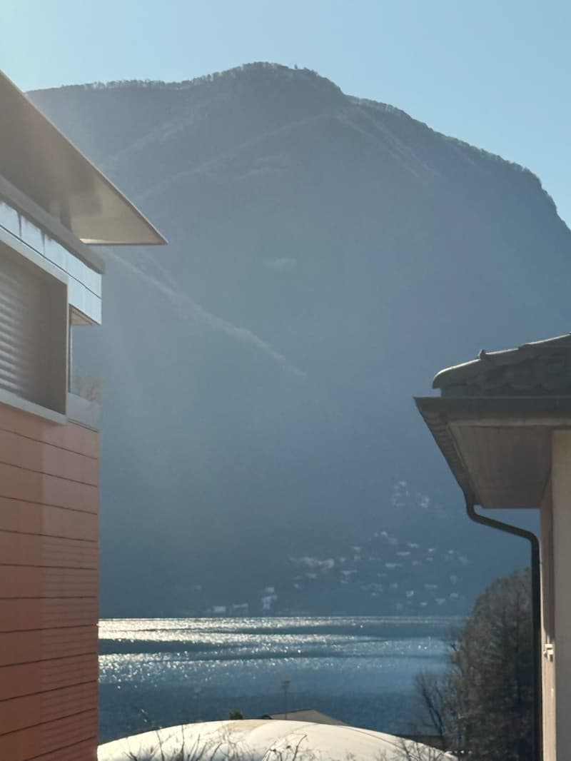 Luminoso 3.5 locali, ultimo piano, anche app. di vacanza AV-080 (13)