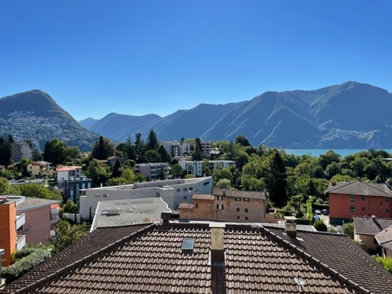 Elegante 3.5 locali ristrutturato con vista panoramica (1)