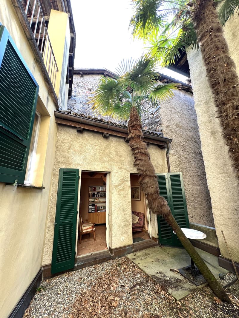Old house with green shutters, tiled floor, wooden chair, wooden cabinet, books, picture frame, palm tree